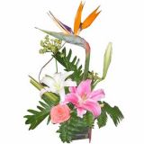 ϳʻٵ