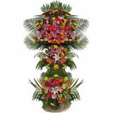 ϳʻٵ